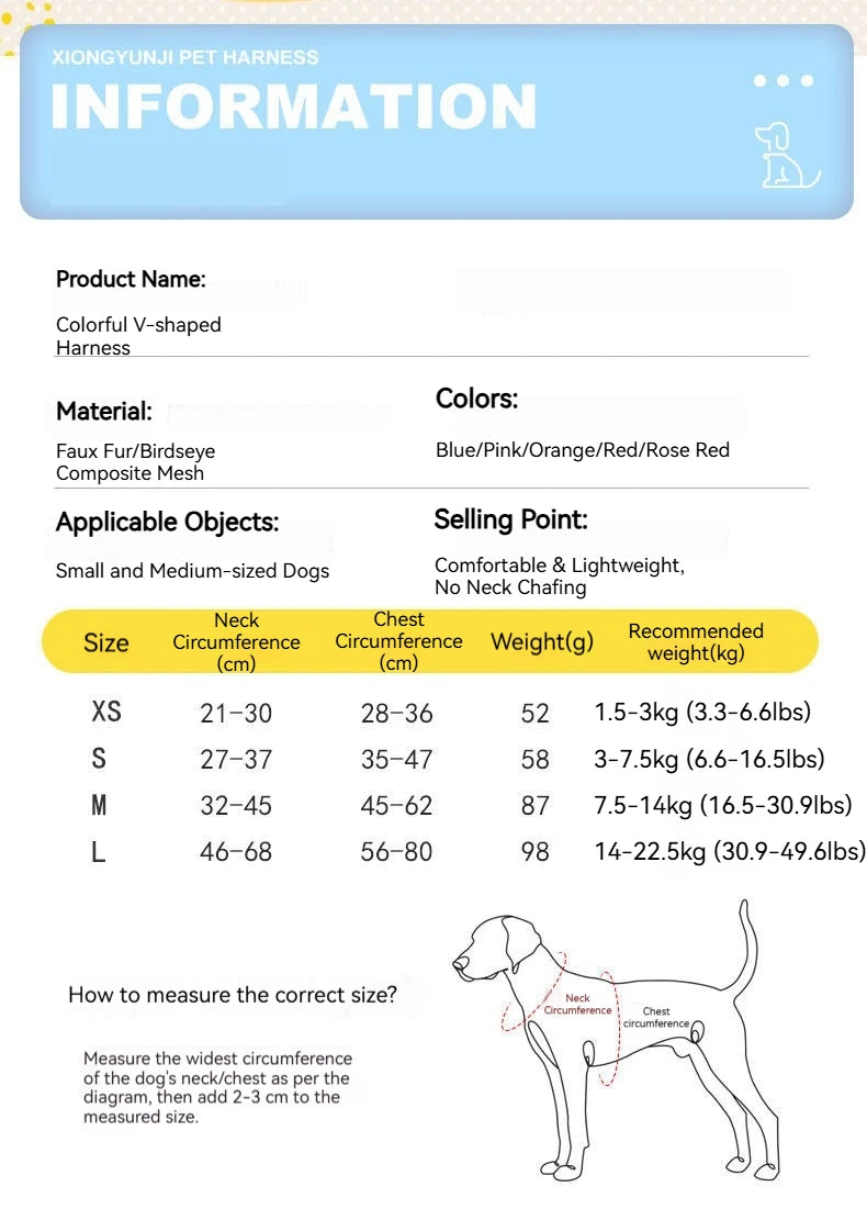 Striped Color-Block Dog Harness with Matching Leash