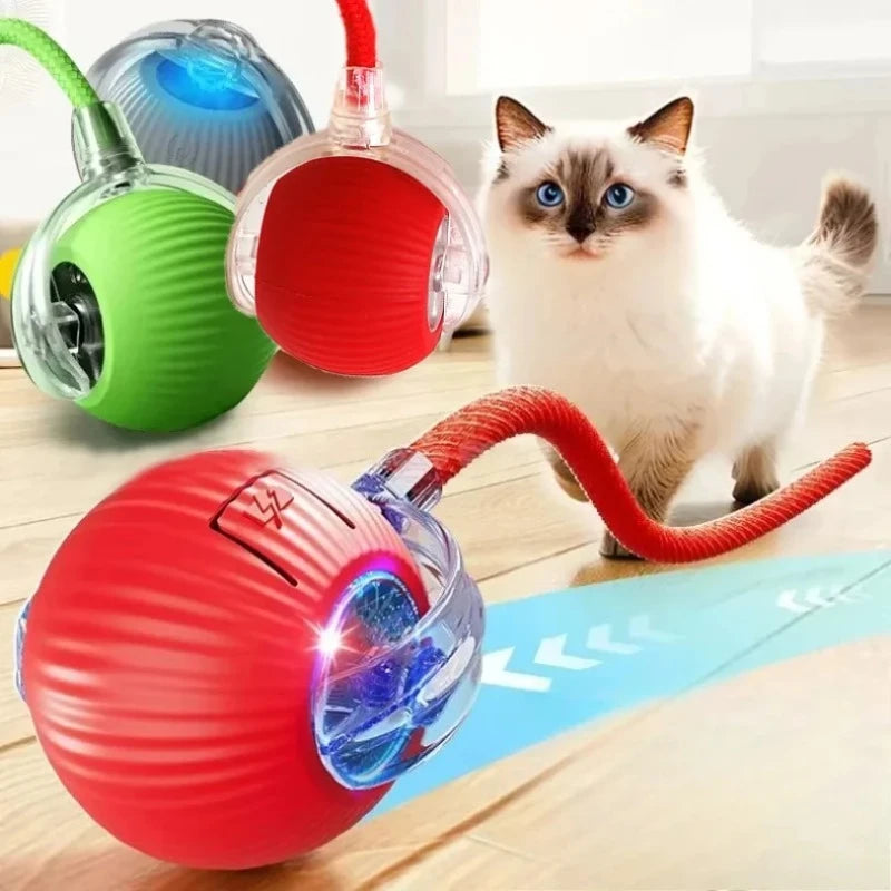Un set de jouets pour chat interactifs et colorés, incluant une balle verte, rouge et bleue, à côté d'un chat blanc.