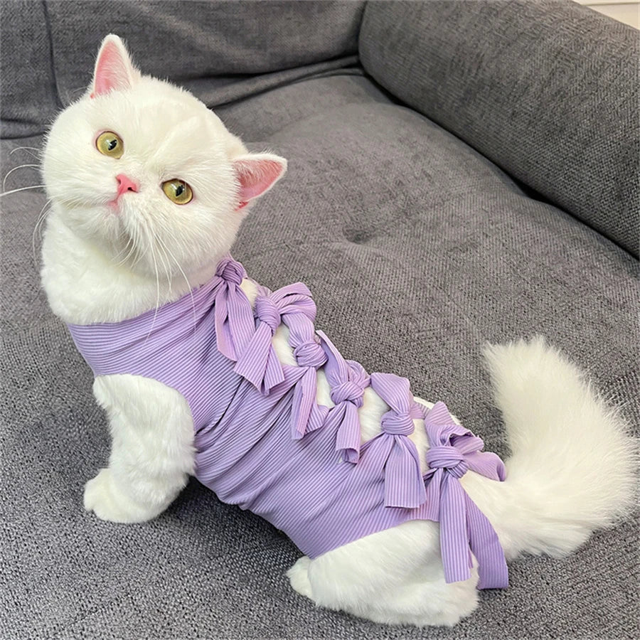 A white cat wearing a purple adjustable post-operative recovery vest.