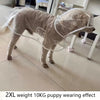 Clear Dog Raincoat with Button-Up Front