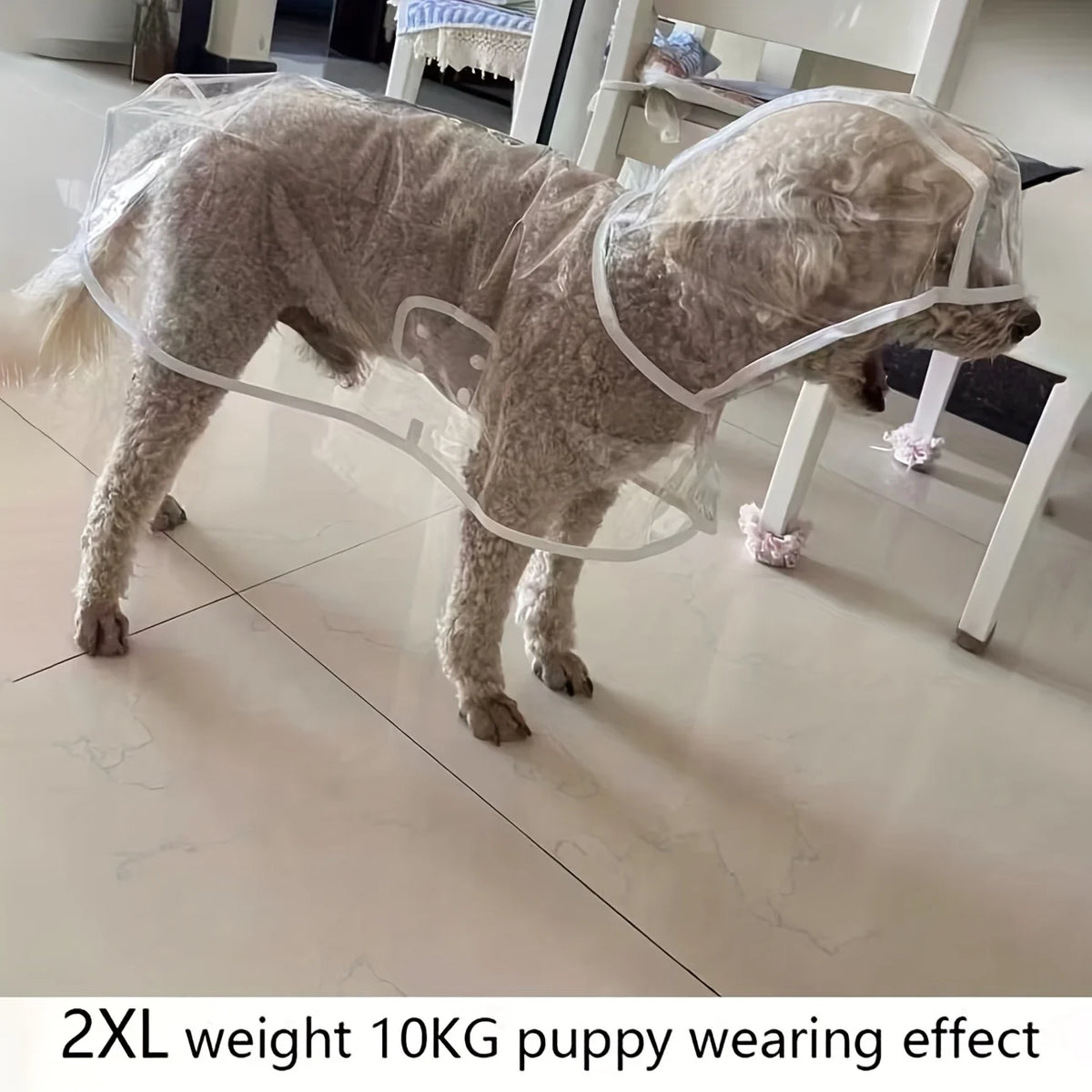 Clear Dog Raincoat with Button-Up Front