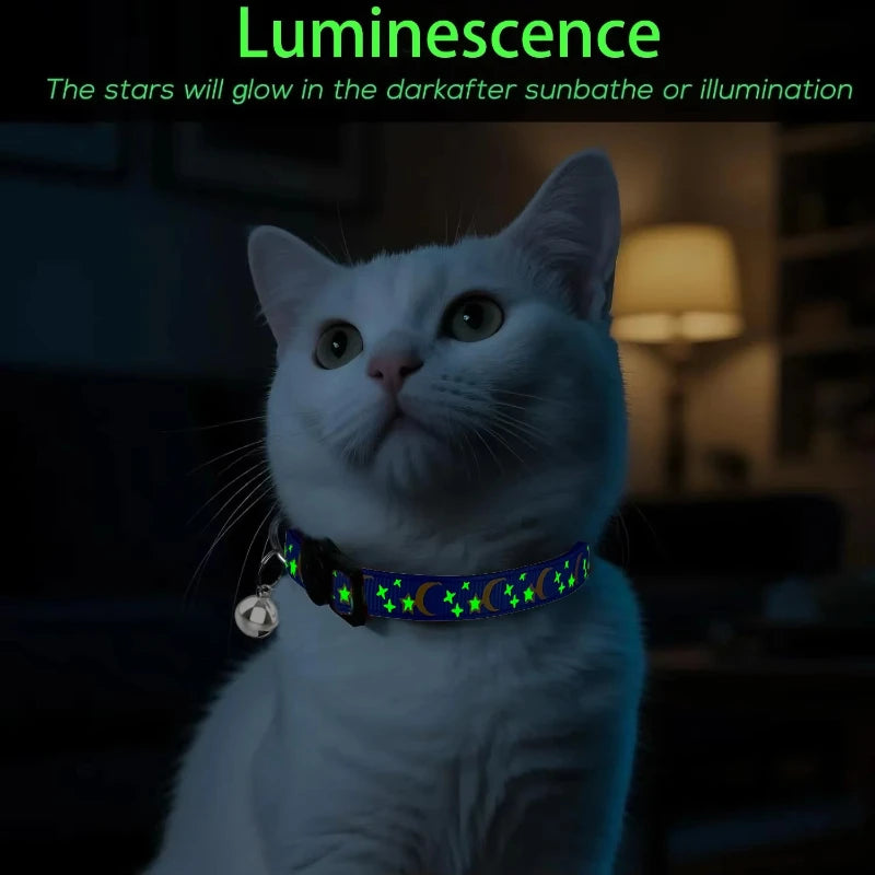 A white cat wearing a glowing collar with stars and a bell looking upwards in the dark.