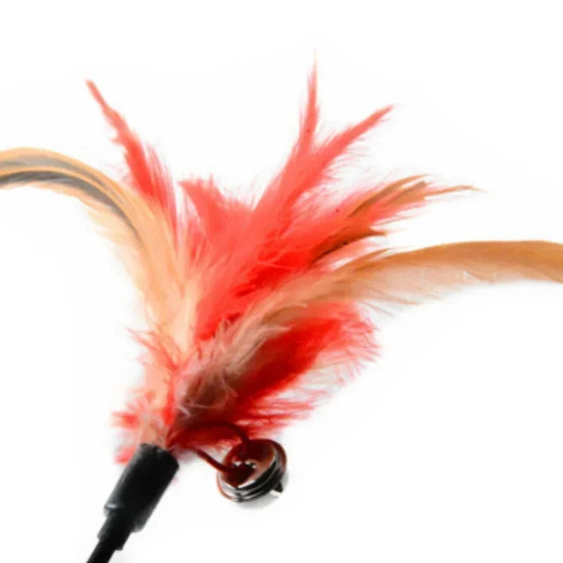 A bright red and orange feather wand toy for cats with a black attachment.