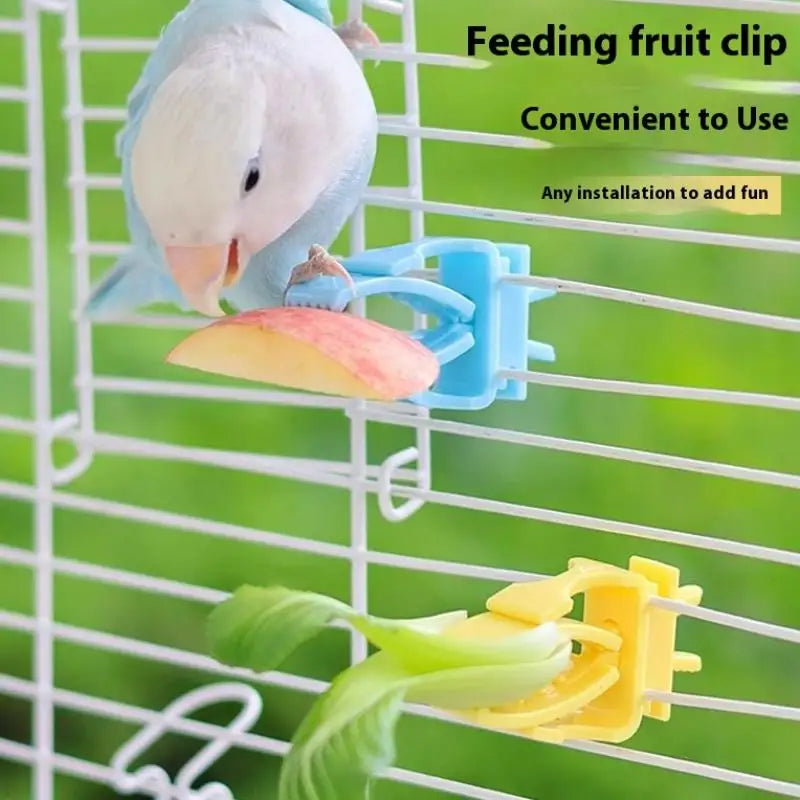 Parrot Food Holder Clip with Chain – Bird Cage Fruit & Vegetable Feeder