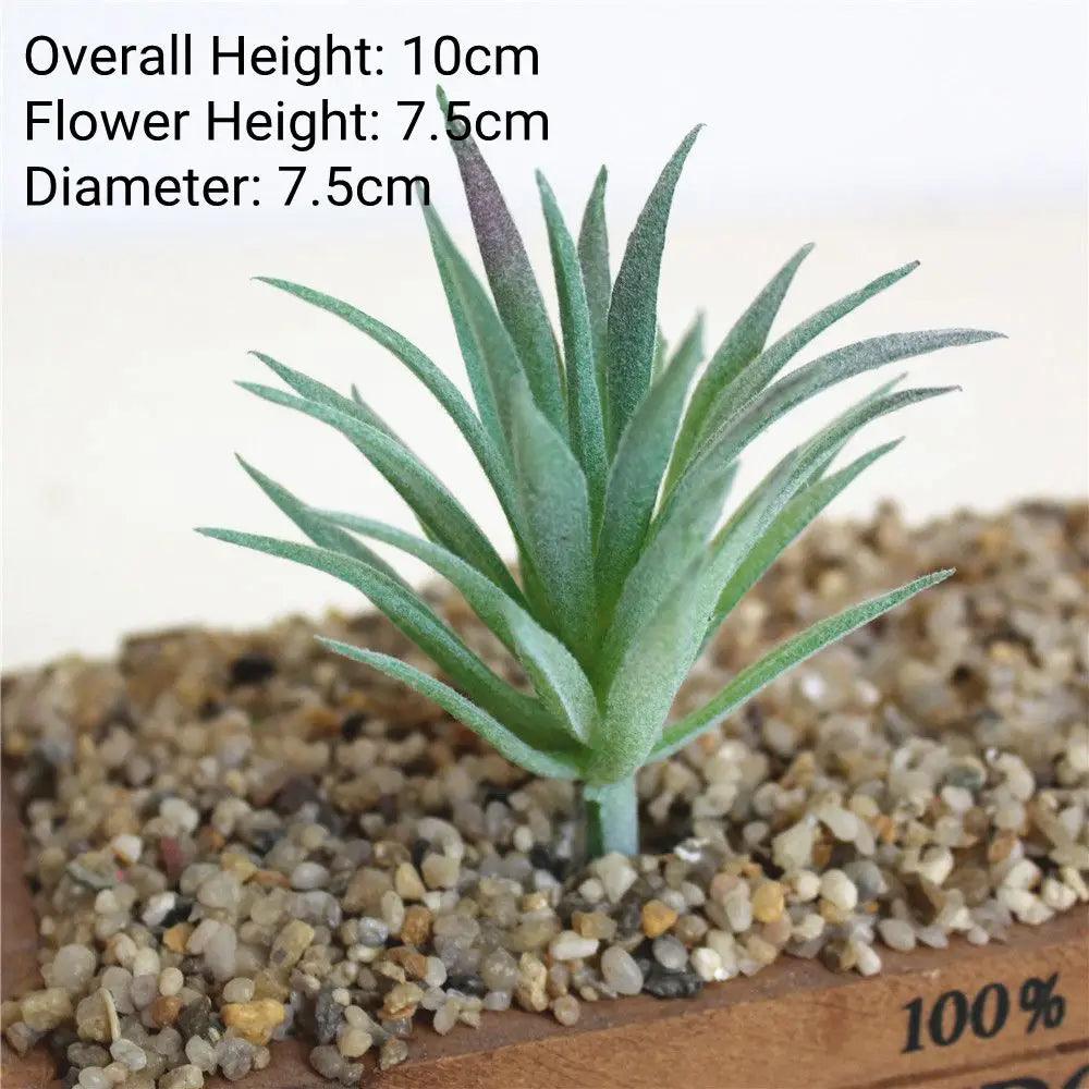A small, green succulent plant with spiky leaves is planted in coarse gravel for desktop decor.