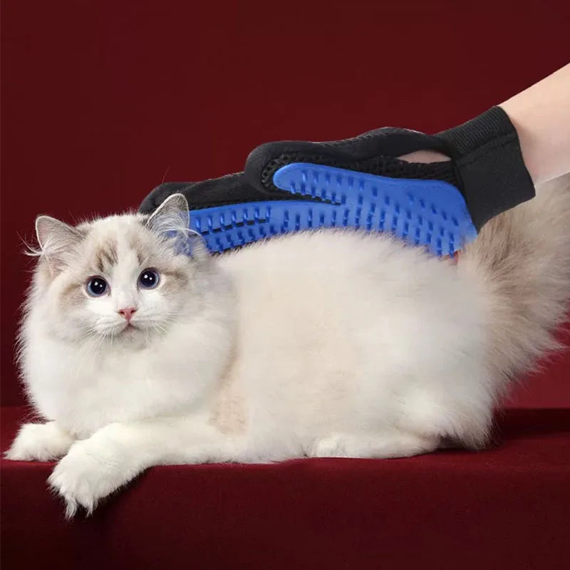 A fluffy white cat is wearing a blue silicone grooming glove on its paw.