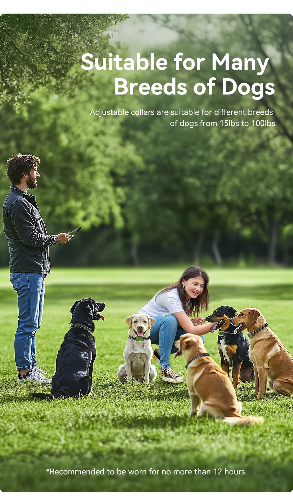 A variety of dog breeds are shown outdoors with adjustable collars, including a black dog and several golden and brown dogs.