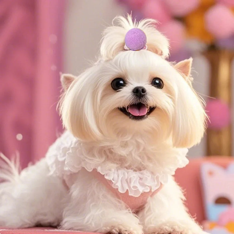 A fluffy white dog wearing a pink collar and a purple hair bow sits for a photo.