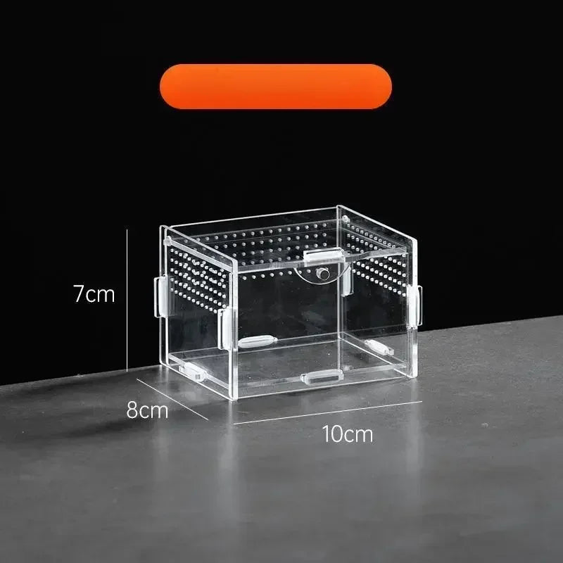 A clear acrylic reptile terrarium box with a lid and ventilation holes, shown on a dark surface.