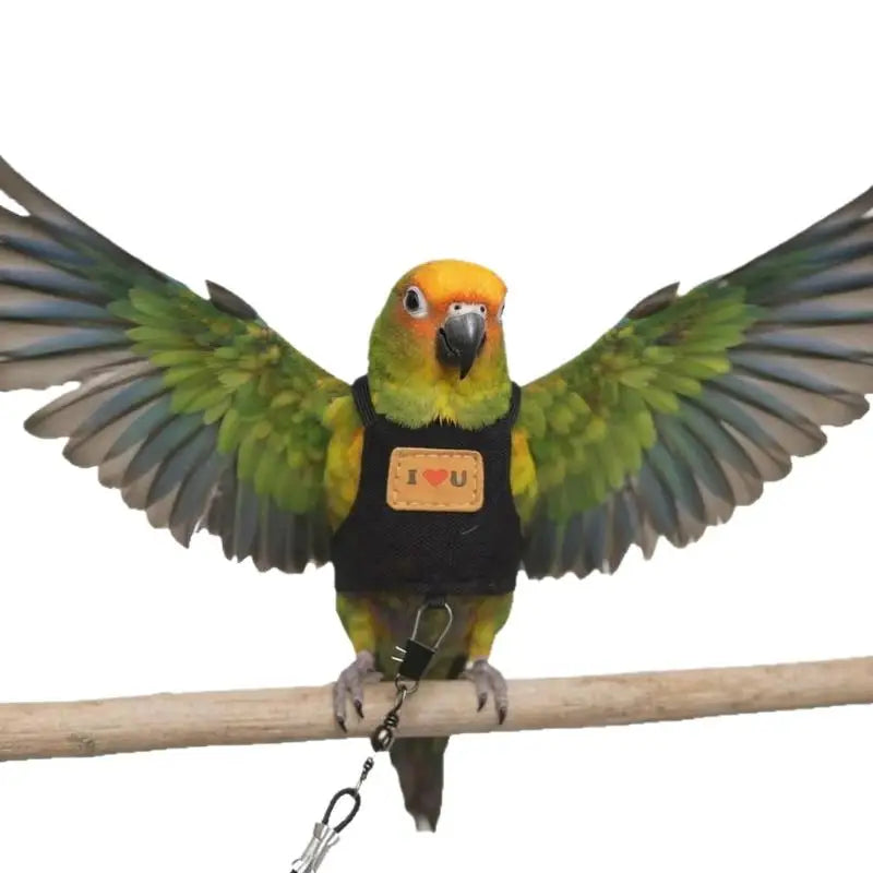 Adjustable Parrot Flying Harness with Leash for Small to Medium Birds