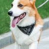 Verstellbares PU-Hundehalsband mit passendem Schal