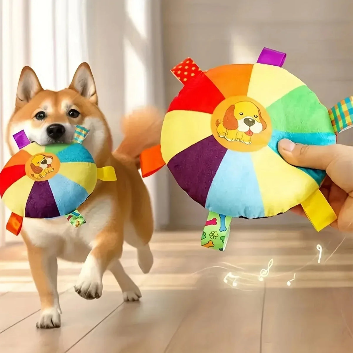 A hand holds a colorful plush dog toy shaped like a flying disc with a squeaker, next to an Akita dog.