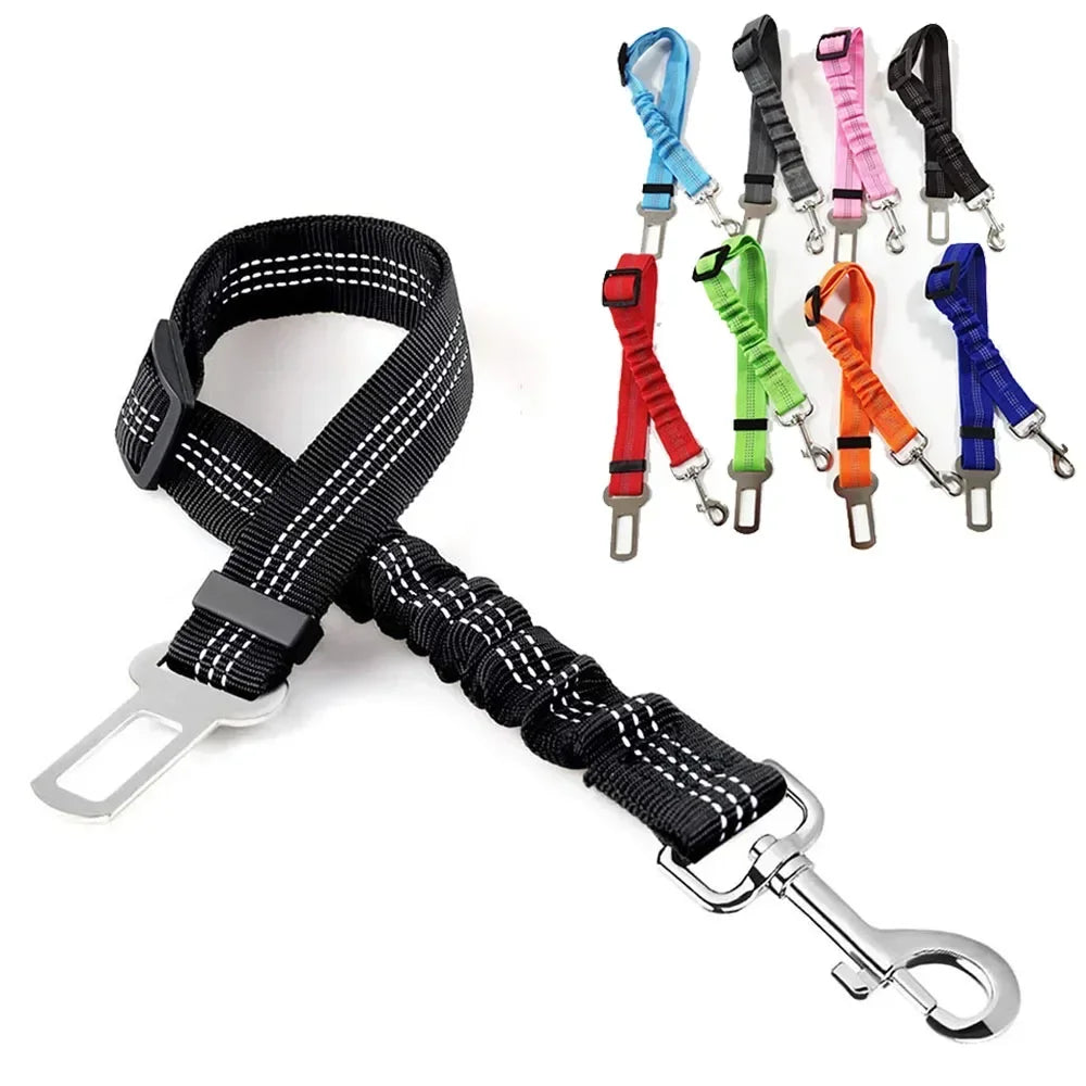 A set of reflective dog car seat belts and leashes in various colors including blue, pink, green, and black.