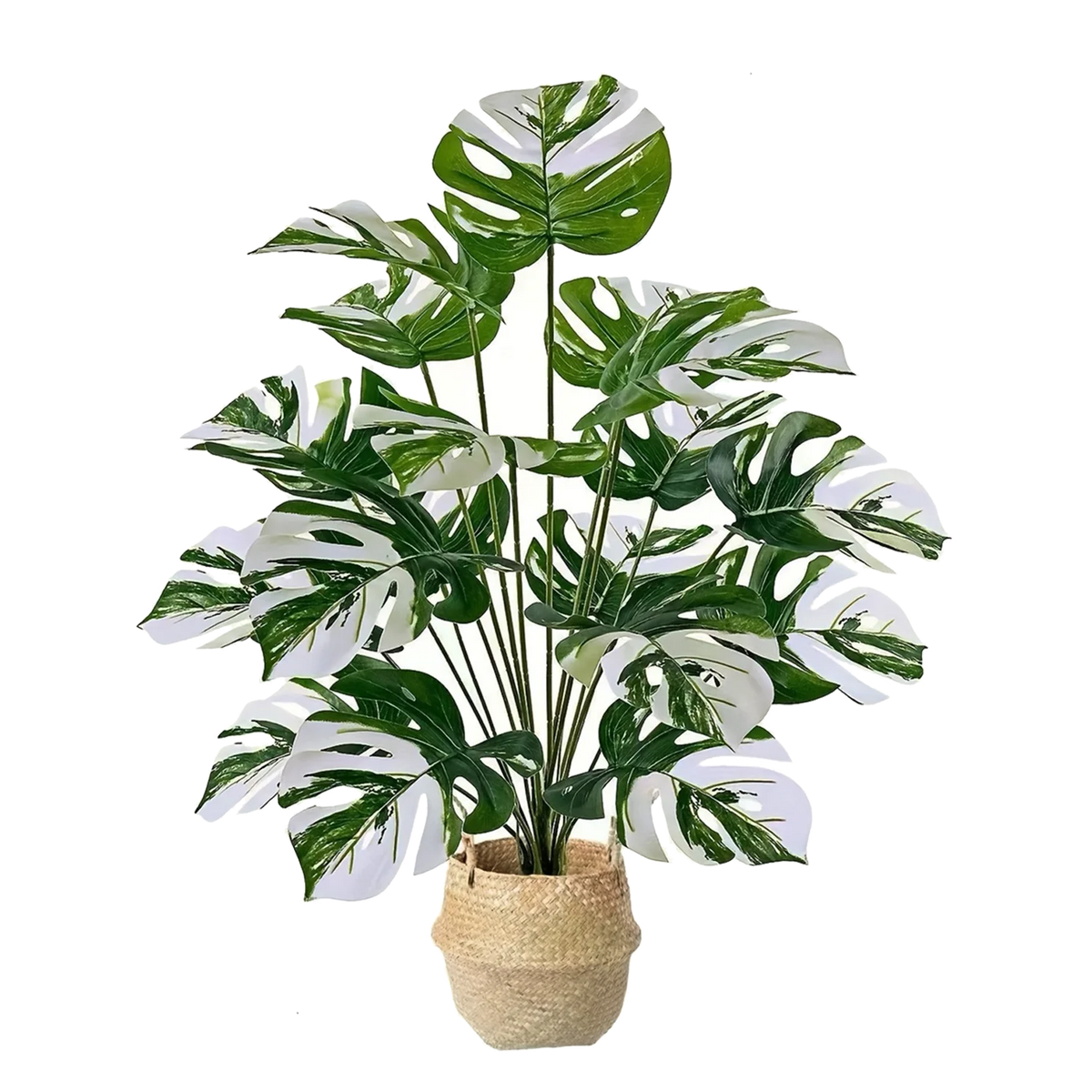 An artificial monstera plant with variegated green and white leaves growing in a woven basket.