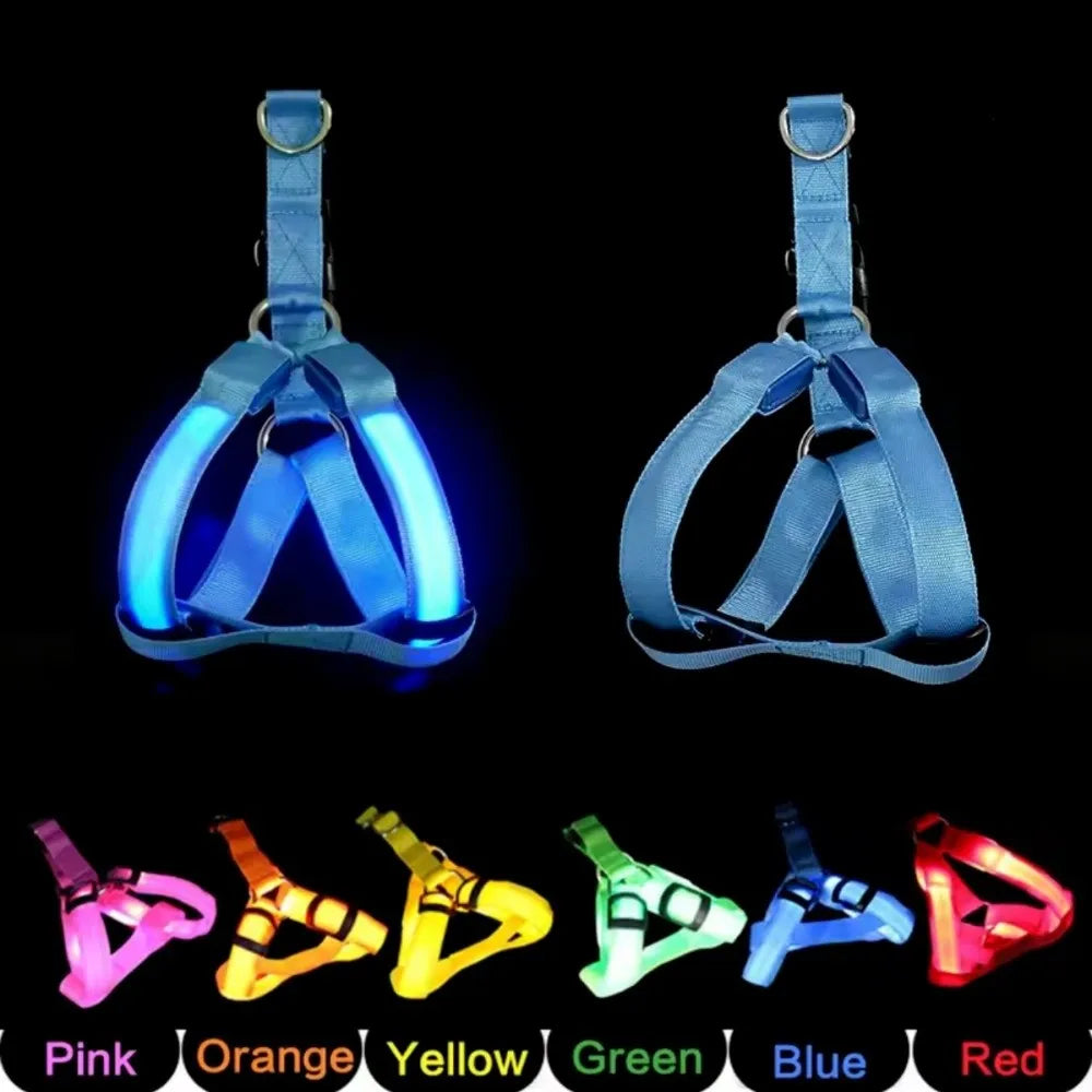 A set of rechargeable LED dog harnesses in various colors including pink, orange, yellow, green, blue, and red.