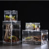 A clear acrylic reptile terrarium setup featuring a natural rock and moss landscape.