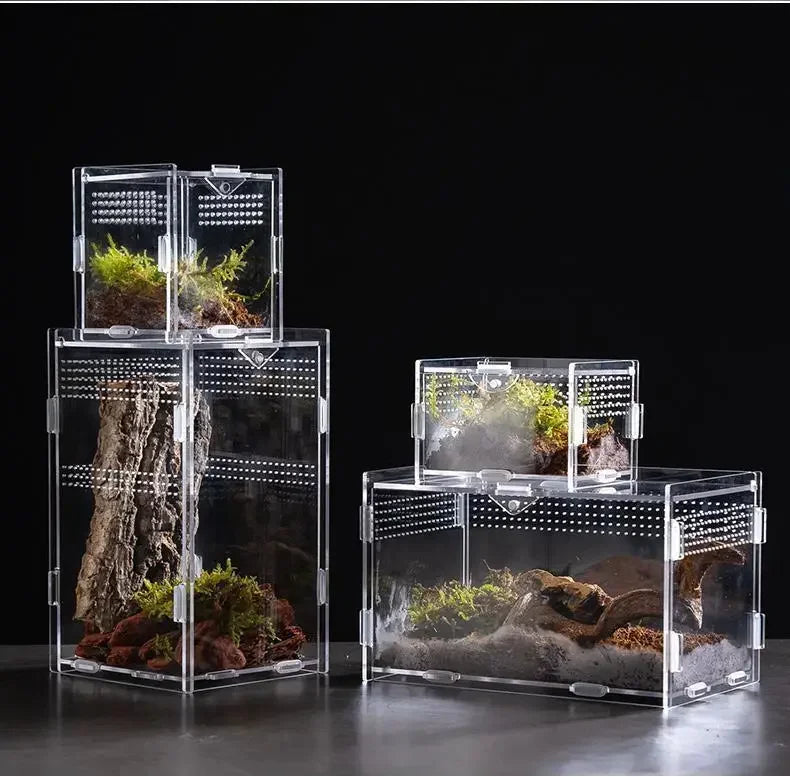 A clear acrylic reptile terrarium setup featuring a natural rock and moss landscape.