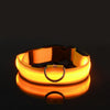 LED-Sicherheits-Hundeleine und Halsband-Set