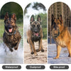 A tactical dog collar shown in three views demonstrating waterproof, dustproof, and bite-proof features.