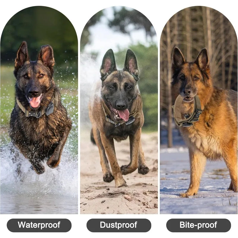 A tactical dog collar shown in three views demonstrating waterproof, dustproof, and bite-proof features.