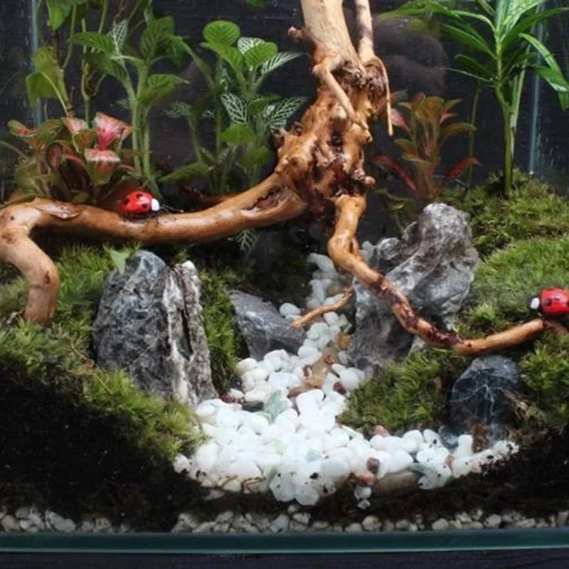 Natural tree trunk driftwood used as decor for an aquarium or reptile terrarium