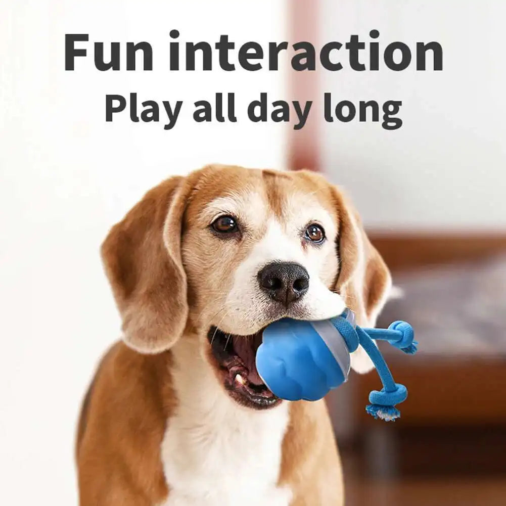 Interactive Rolling Dog Ball with Motion Sensor and Rope