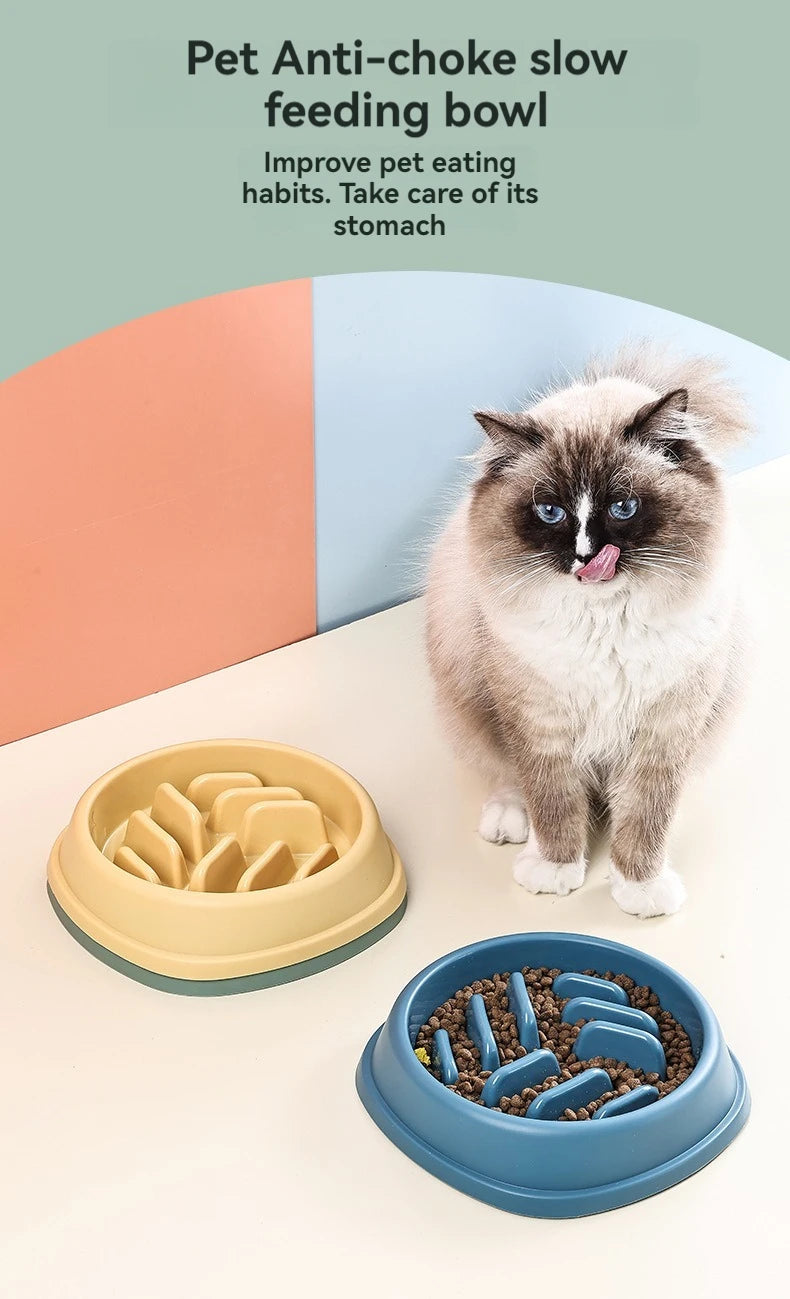 A fluffy gray cat is standing next to a yellow anti-choke slow feeding bowl for pets.