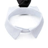White adjustable pet bow tie collar for dogs and cats