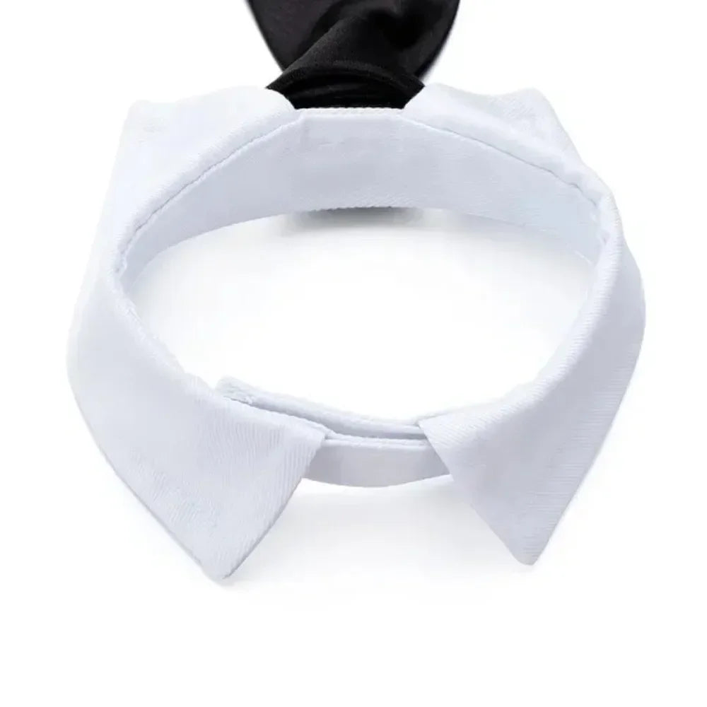 White adjustable pet bow tie collar for dogs and cats
