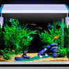 Lampe LED à clipser pour aquarium, profil fin