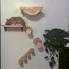 Wall-Mounted Cat Climbing Shelves with Hammock and Scratching Post