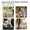 Reflective Bungee Dog Leash with Car Seatbelt Attachment for Large Dogs