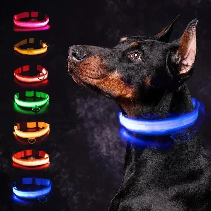 USB-aufladbarer LED-Hundehalsband für Nachtsicherheit