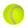 Giant 24cm Inflatable Tennis Ball Dog Toy with Pump