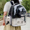 A person is carrying a transparent backpack designed for pets, featuring a clear dome and a mesh opening.