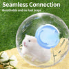 Clear Hamster Exercise Ball for Small and Medium Hamsters