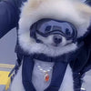 Mochila Portaperros de Pecho