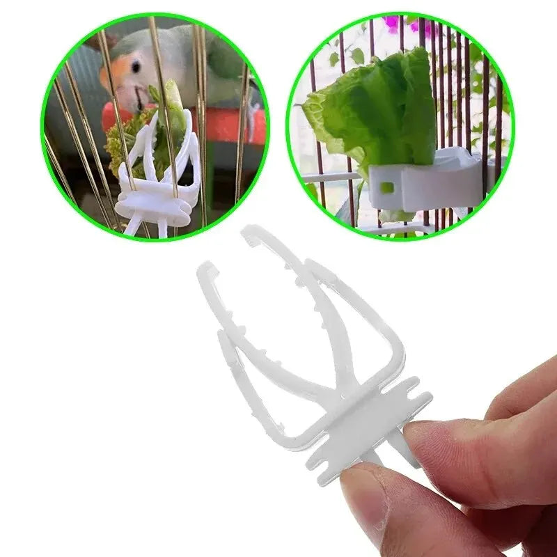 White plastic bird food holder clip designed for parrots and small birds