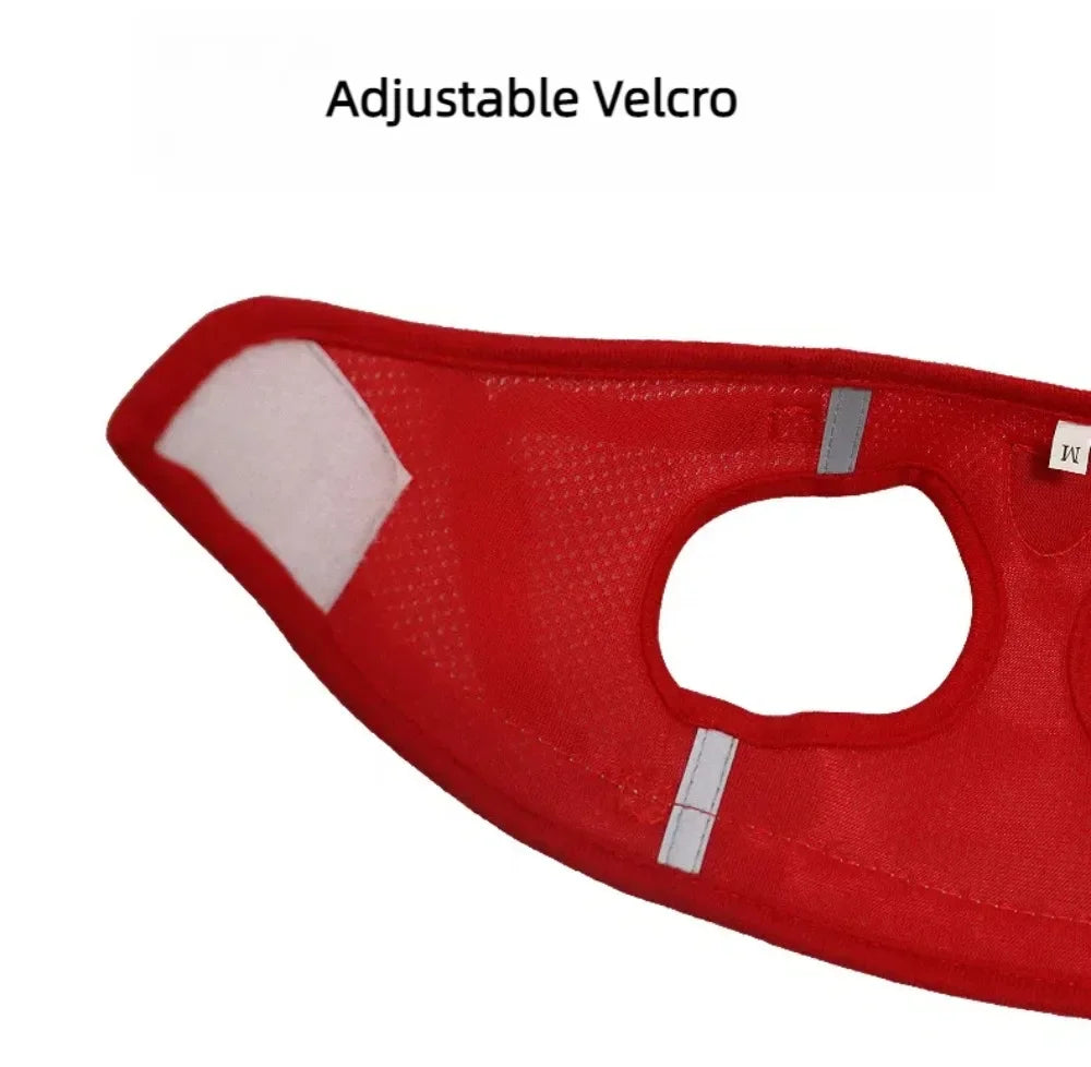Adjustable Escape-Proof Mesh Harness and Leash Set for Cats and Small Dogs