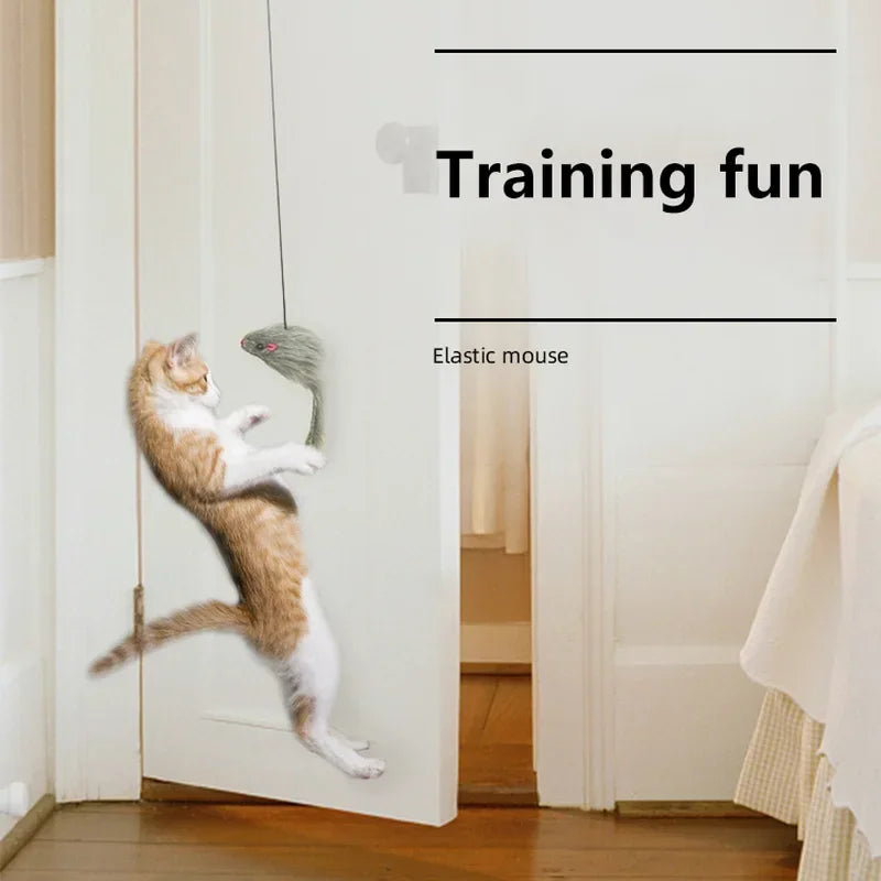 Eine Katze spielt mit einer elastischen Maus, die an einem weißen Türrahmen hängt.