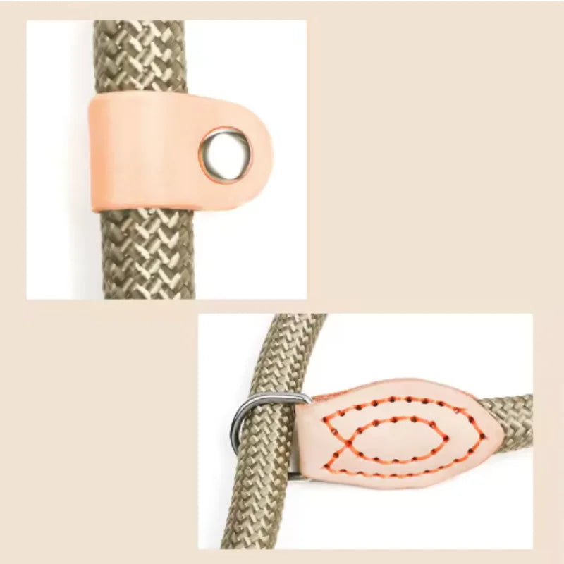 Robbe, verstellbare Nylon-Hundeleine