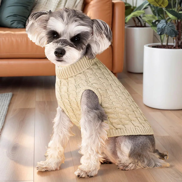 A small, fluffy dog wearing a beige turtleneck knit sweater sitting on a wooden floor.