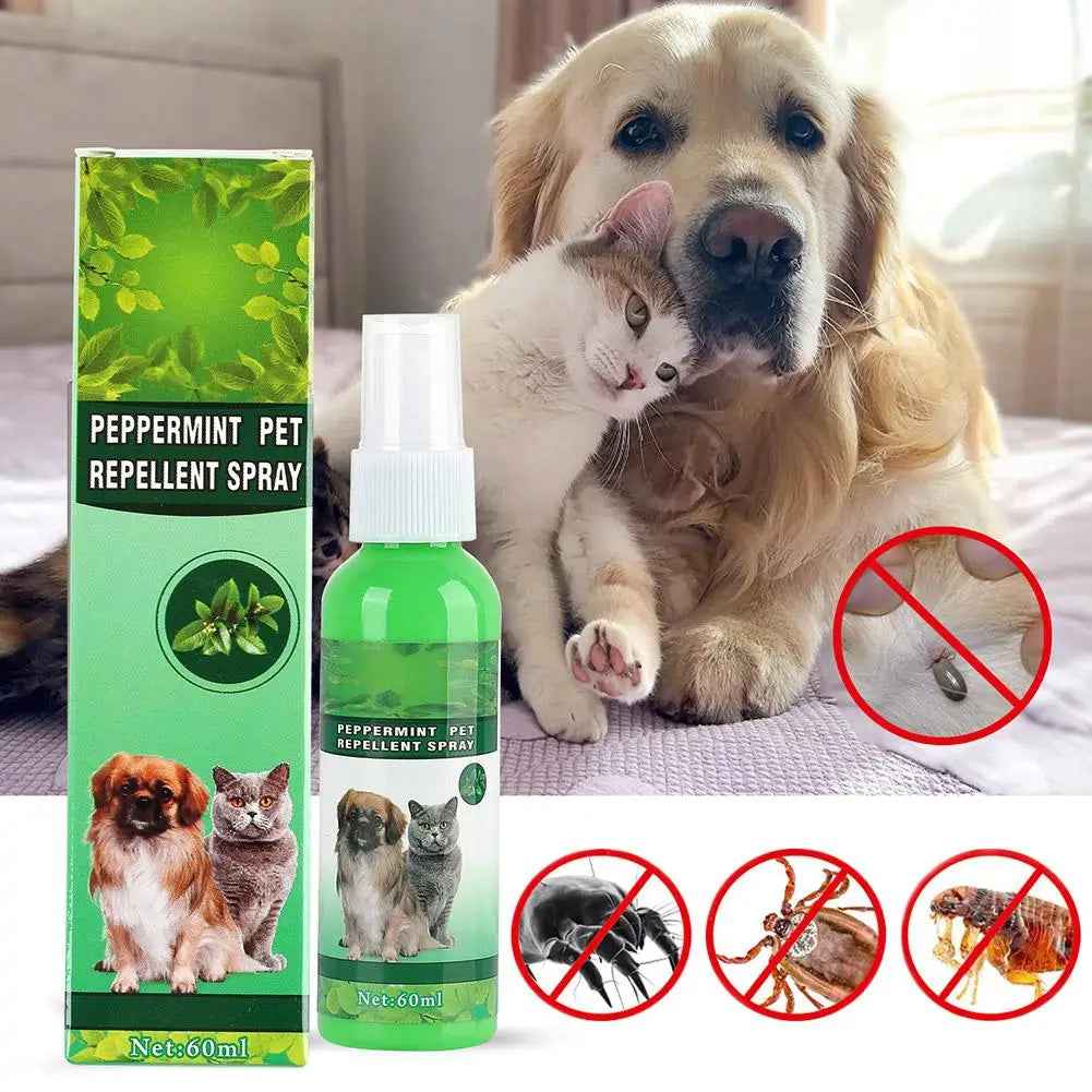 Un cachorro de golden retriever y un gatito pequeño junto a una botella de spray repelente para mascotas de menta y varios...
