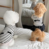 Striped Bow Accent Dog Dress with Flutter Sleeves for Small Breeds