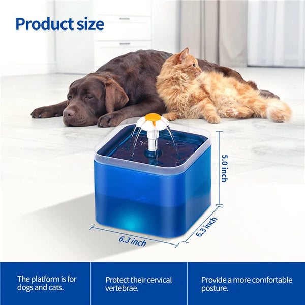 A blue pet water fountain platform is shown supporting a cat and a dog on a white surface.