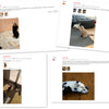 Jouet Interactif pour Chat avec Plumes et Baguette