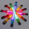 USB-aufladbarer LED-Hundehalsband für Nachtsicherheit
