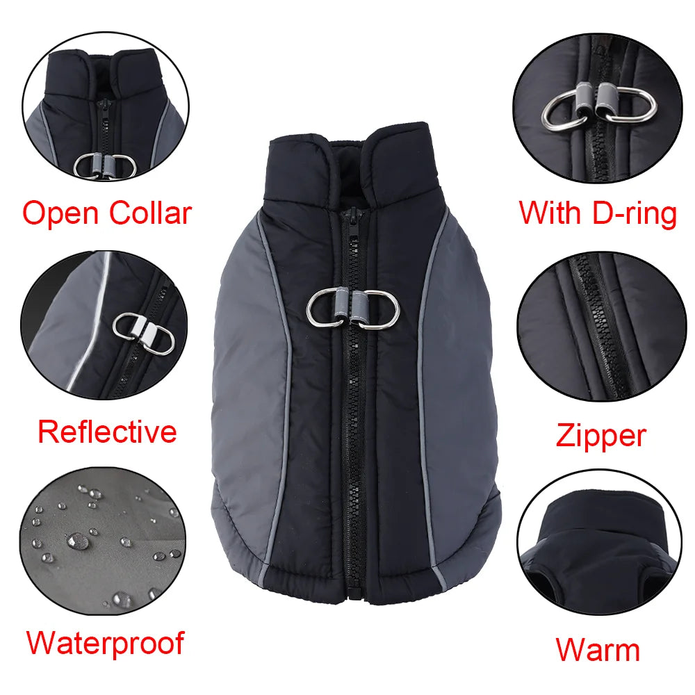 Gilet pour chien gris foncé avec fermeture éclair, anneau D et matériaux réfléchissants et imperméables.