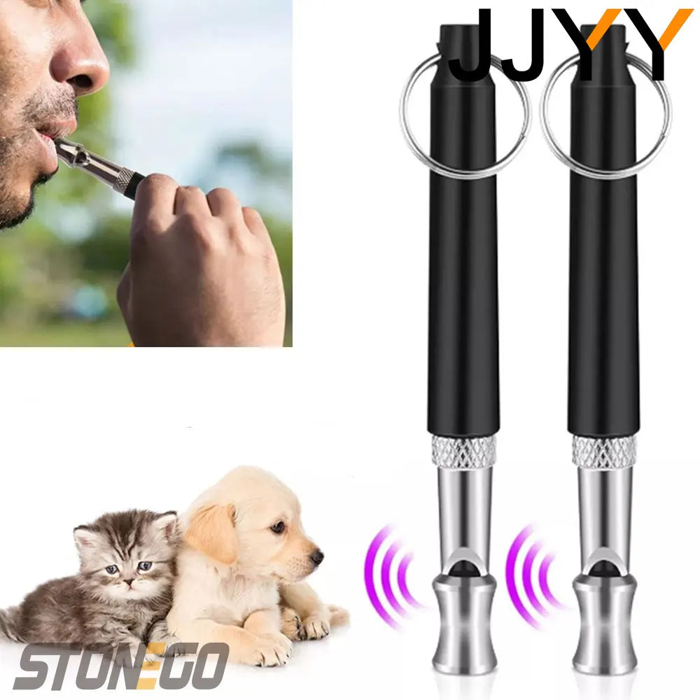 A black ultrasonic dog training whistle with silver accents shown next to a puppy.