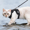 Ausbruchssicherer Katzen-Geschirr mit Leine